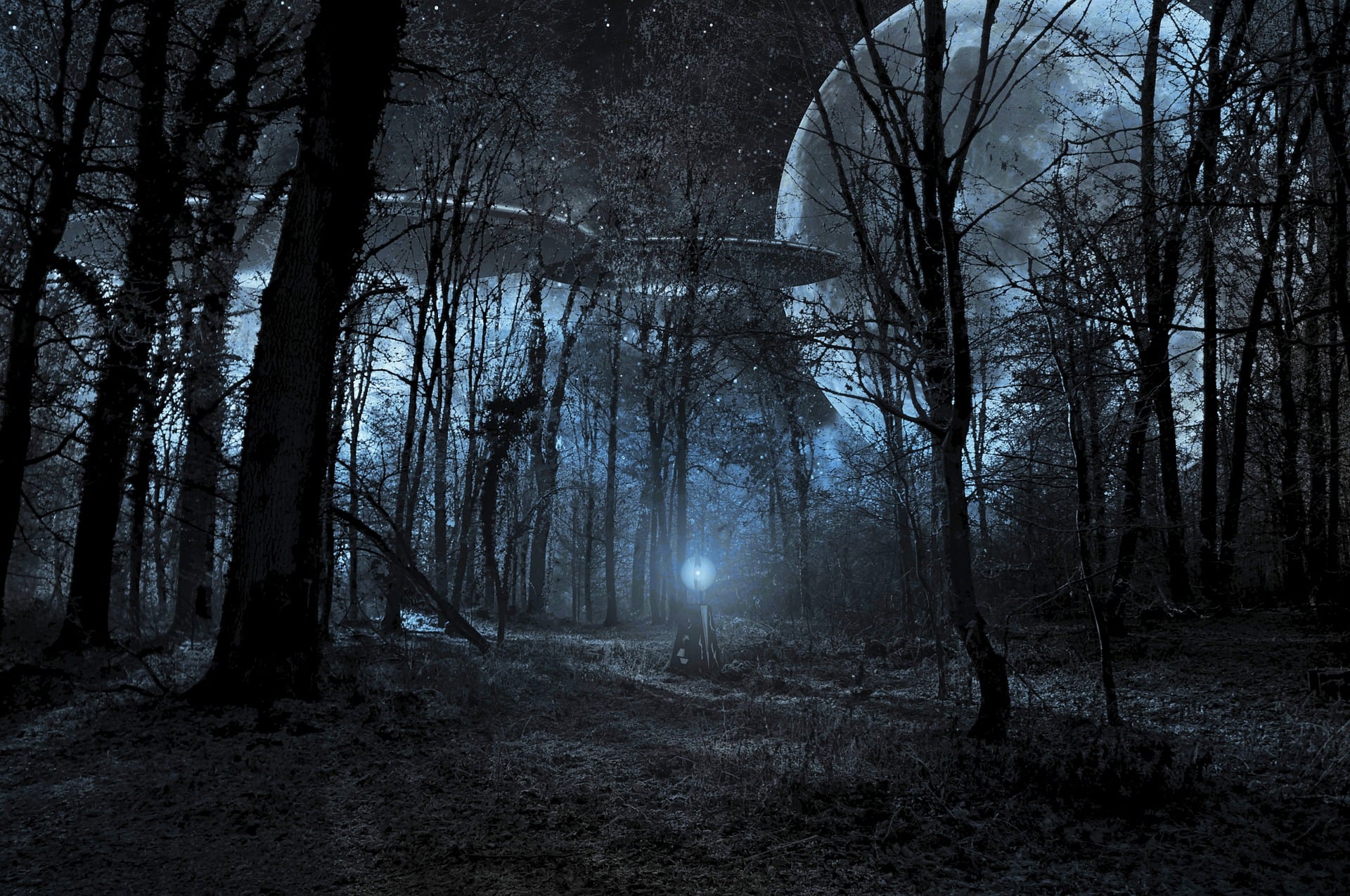 UFO Woods Moon