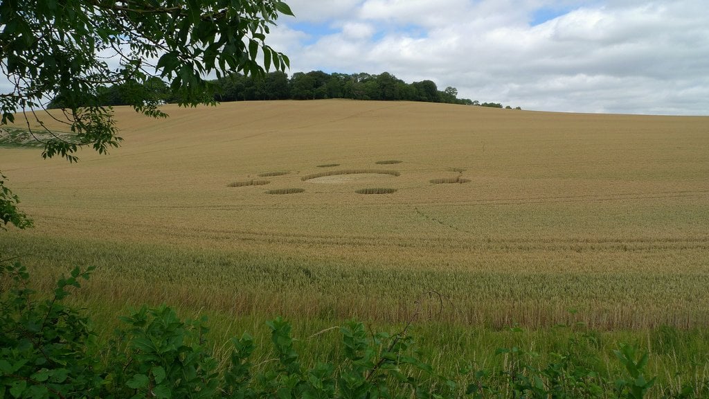 Crop Circle West of Winchester